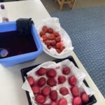 970ded68 f7ef 4500 971d e72a7514e992